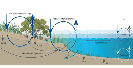 Home - Florida Climate Institute