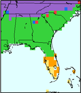 Vegetation Distribution