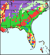 Vegetation Distribution